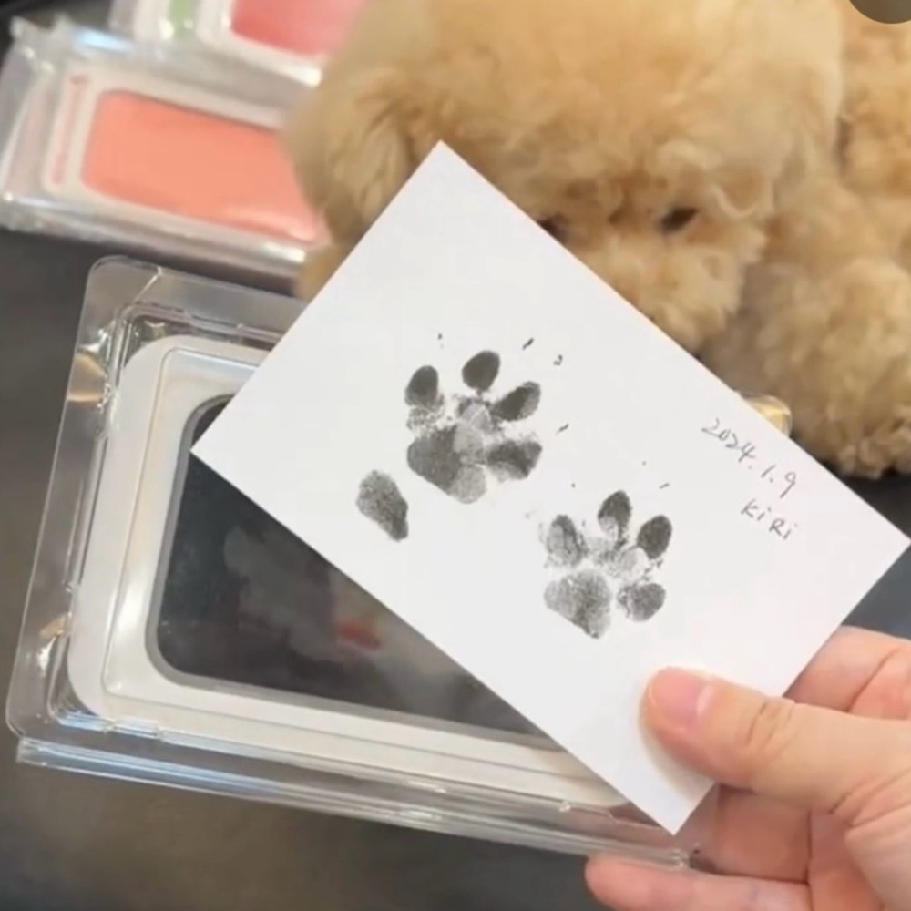 Pet Paw Print Kit w/1 Ink Pad & 2 Imprint Cards, Black Ink, NEW, Kid Fri…